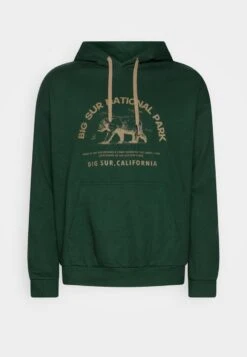 Pier One Sweatshirt - Dark Green 9 Pier One Sweatshirt - Dark Green -Pier One Store 3124605bf2f845a4ba247b442c64f8a2 1
