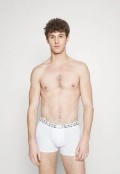 Pier One 5 PACK - Panties - White/pink/light Blue 9 Pier One 5 PACK - Panties - White/pink/light Blue -Pier One Store 3721024dbc554890a6059d1e8168907f