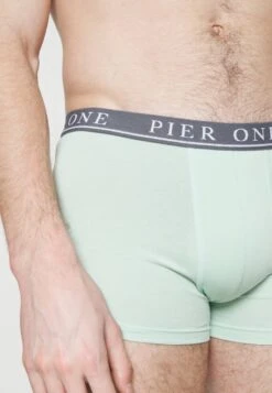 Pier One 5 PACK - Panties - Beige/light Green/black 11 Pier One 5 PACK - Panties - Beige/light Green/black -Pier One Store 56b1c715844d42658de4fa4e1d223916