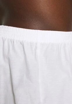 Pier One 5 PACK - Boxershorts - Light Blue/white -Pier One Store 8e2664e226c041628a342c1ad591e54d