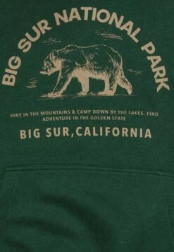 Pier One Sweatshirt - Dark Green 8 Pier One Sweatshirt - Dark Green -Pier One Store 98f45f14fc32419d9ff9d39a6bc94089