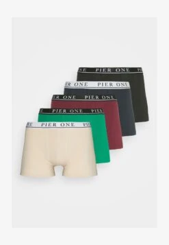 Pier One 5 PACK - Panties - Beige/green/bordeaux 10 Pier One 5 PACK - Panties - Beige/green/bordeaux -Pier One Store bc7bad60932445cabd41ffd20695bb0b
